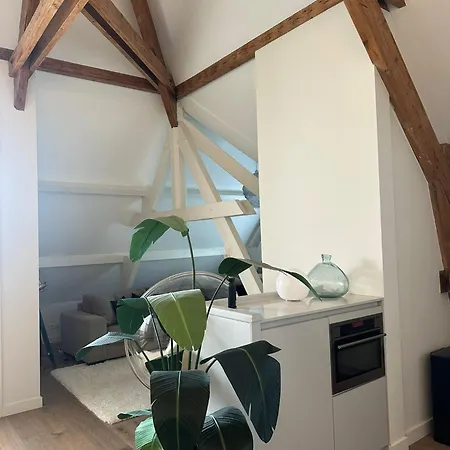 Beautiful Luxury Close To The And Centre Appartement Den Haag